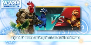 Luật đá gà Thomo