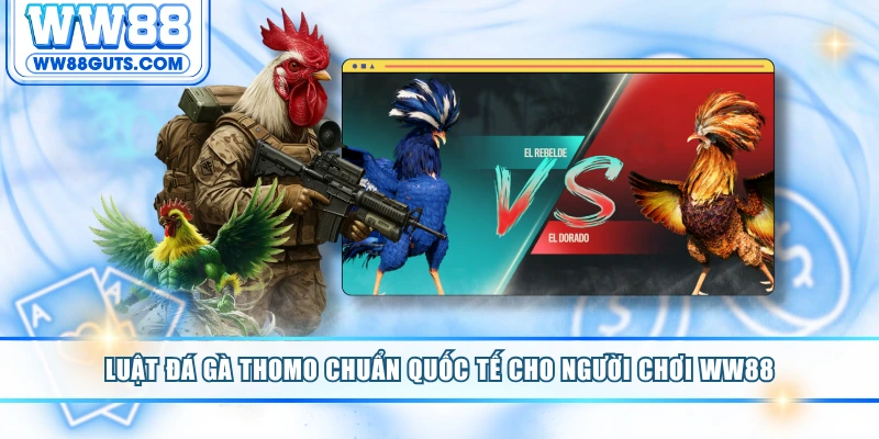 Luật đá gà Thomo