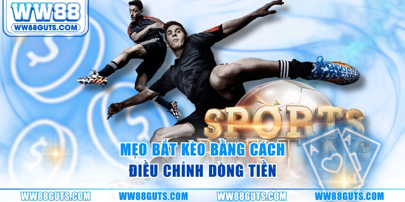 Mẹo bắt kèo bằng cách điều chỉnh dòng tiền