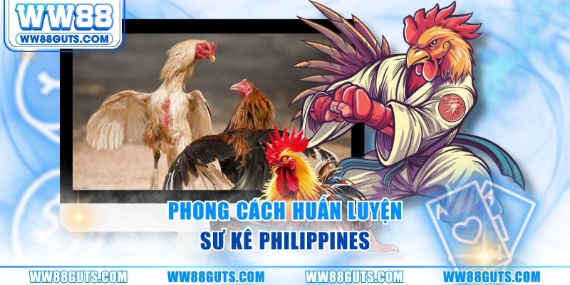 Đá Gà Philippines - Cơ Chế Thi Đấu Và Phong Cách Huấn Luyện 6 Phong cách huấn luyện sư kê Philippines